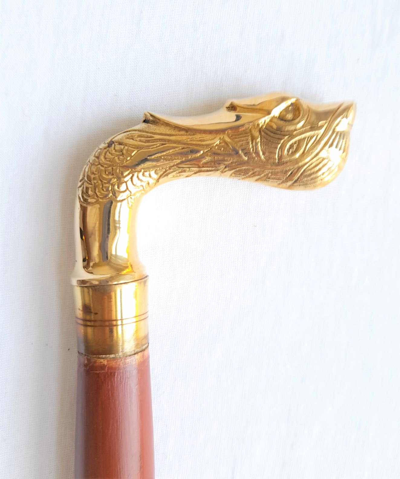 foto h�l ekonomick� - hlava draka